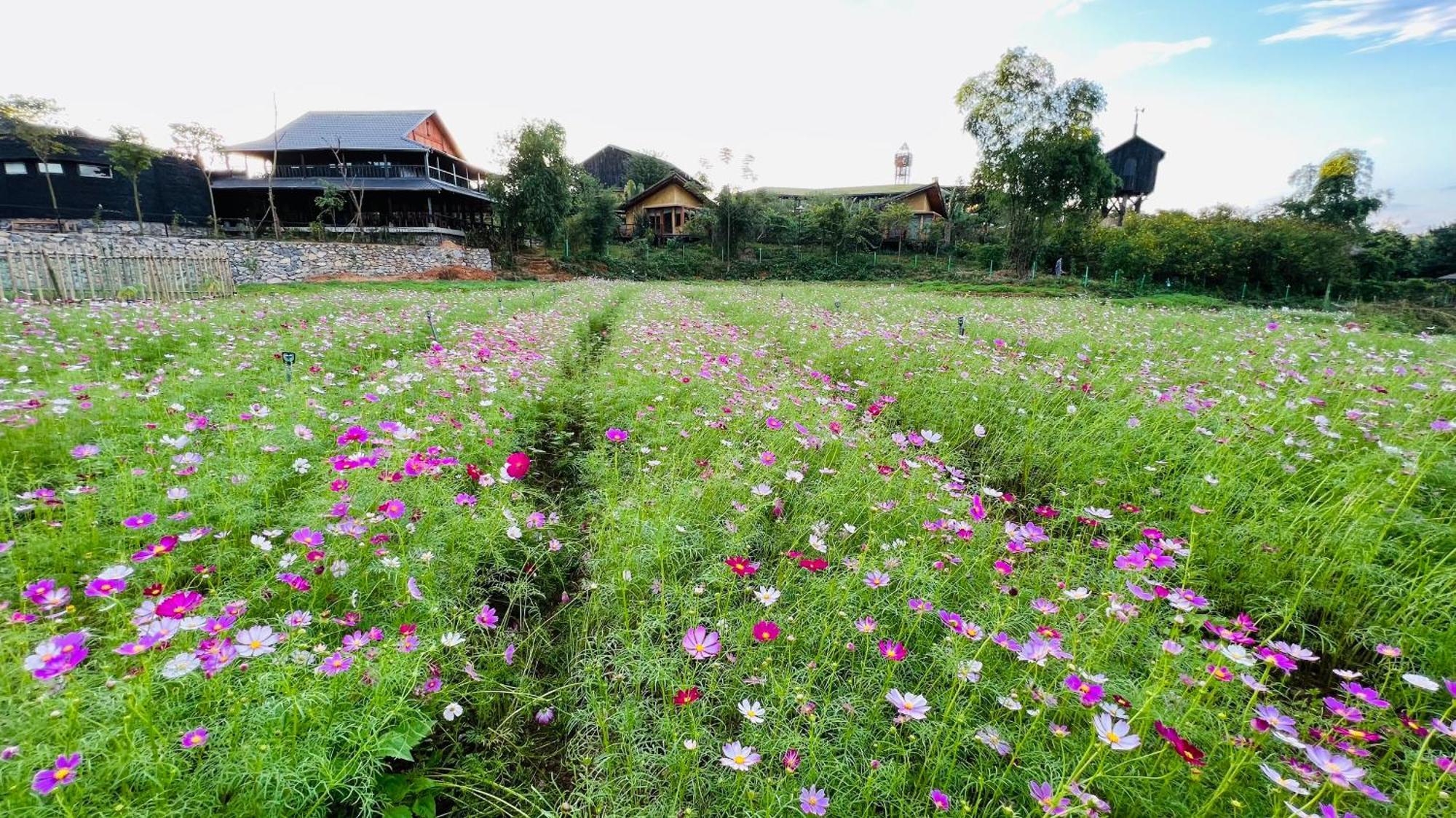 Satoyama Village Luong Son  Exteriér fotografie