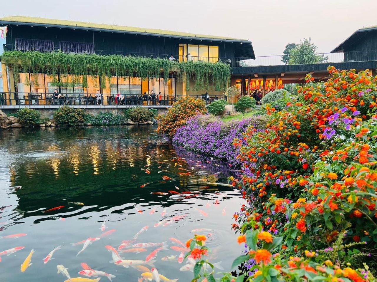 Satoyama Village Luong Son  Exteriér fotografie